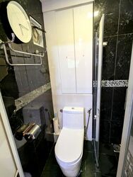Novena Hill (D11), Apartment #465341461